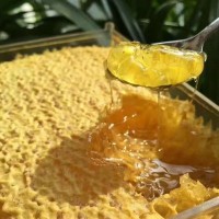 蜂蜜 農(nóng)家自產(chǎn)蜂蜜 五常椴樹(shù)蜂蜜
