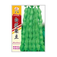 重慶本地受歡迎的四季豆品種，好吃好賣不易老化帶小時候的清香味