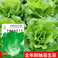 批發(fā)菜園蔬菜種子全年耐抽苔生菜7克盆栽陽(yáng)臺(tái)院子菜籽 廠家直銷(xiāo)