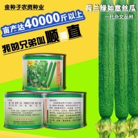 絲瓜種子絲瓜籽絲瓜種籽蔬菜種子批發菜種菜籽菜種子公司四季播種