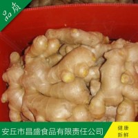 出口歐美、加拿大、荷蘭、英國級保鮮姜、風干姜（價格面議）