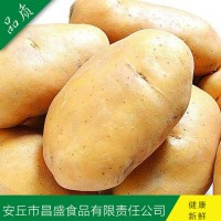 供應(yīng)出口中東、東南亞級(jí)保鮮荷蘭7號(hào)、15號(hào)（價(jià)格面議）