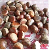 遷西栗子新鮮，生板栗新鮮，遷西板栗子