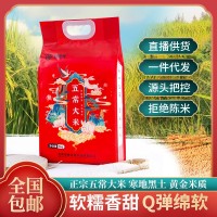 五常大米批發(fā)5KG長粒香米10斤裝大米有機東北大米農(nóng)產(chǎn)品大米批發(fā)