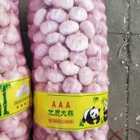 大蒜公司，源頭工廠供應金鄉(xiāng)出口大蒜，超市大蒜